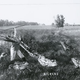 Illustration for article titled The early 1900s version of Photoshop involved lots of giant rabbits and corn